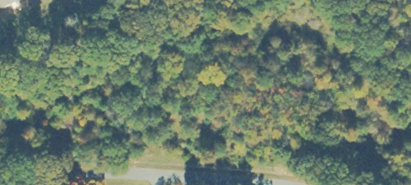 Jackson Rd