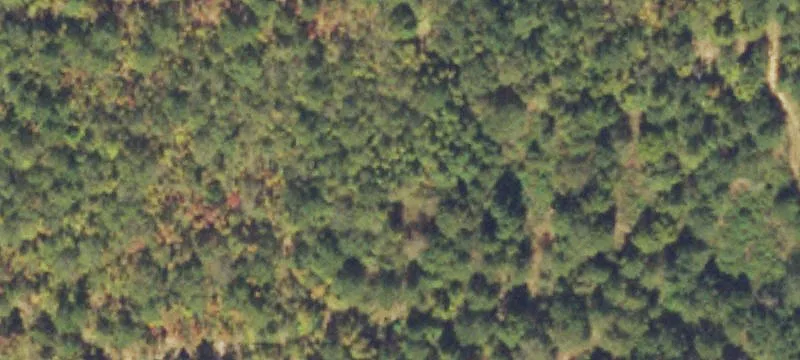 Bucksnort Rd
