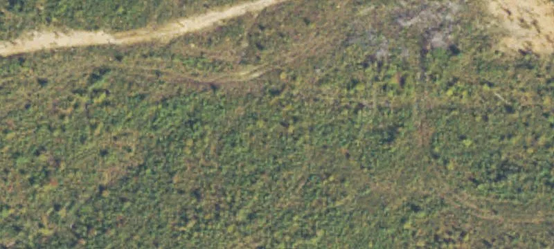 Woods Rd
