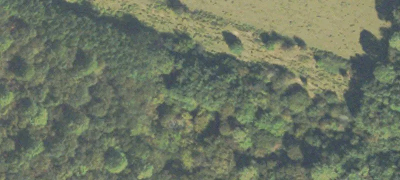 Wheeler Cemetery Rd