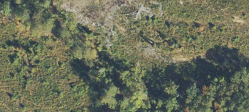 Woods Rd