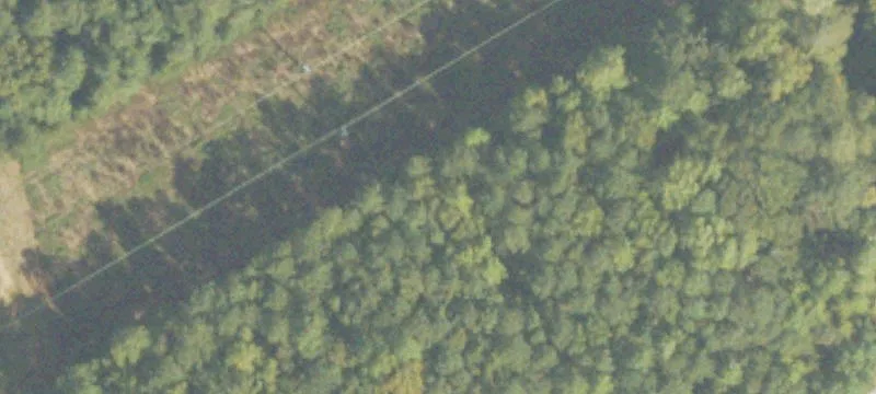 Borum Spg Rd