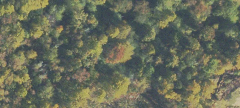 Lumpkin County Pkwy