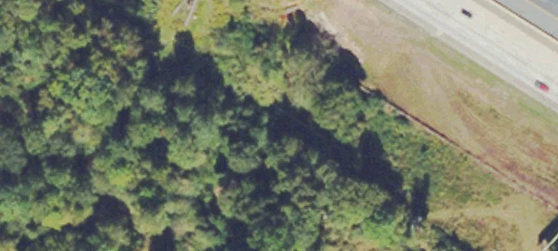 Willingham Pond Dr