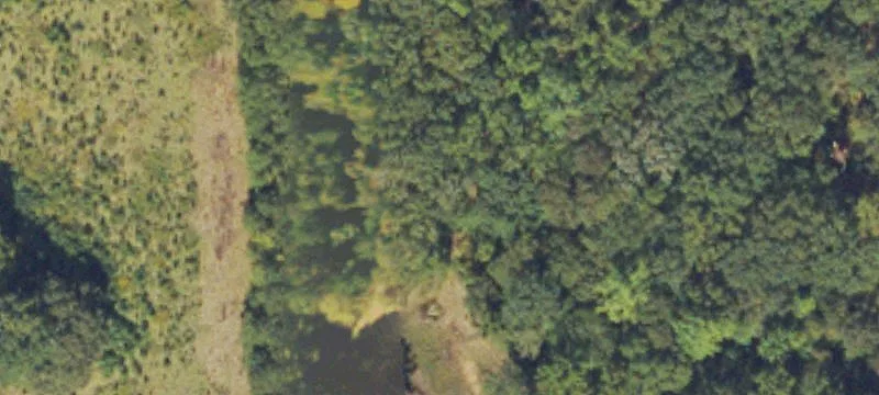 2747 Hwy 81st E