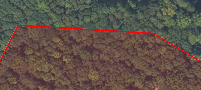 Old Alabama Rd