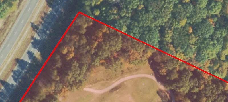 777 Dogwood Way