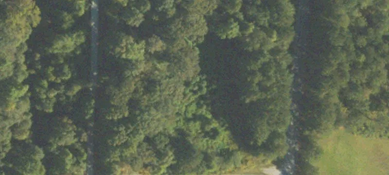 Barnes Dr