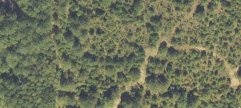 Locust Grove, GA 30248