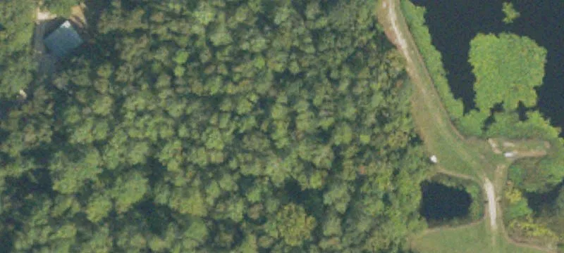 978 Ellison Brg Rd