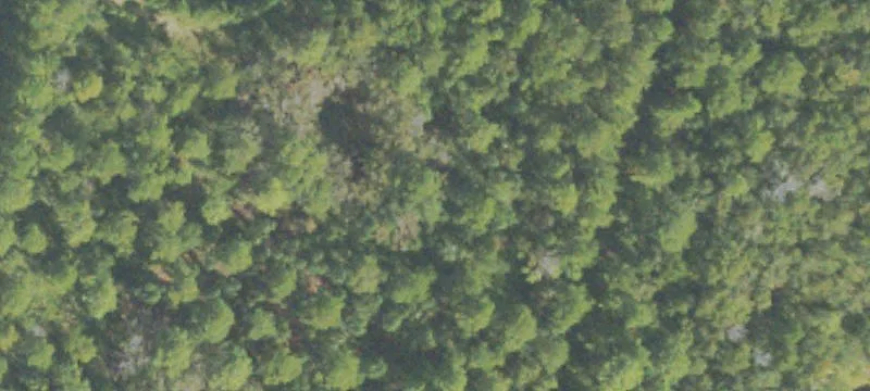 Kingsland, GA 31548