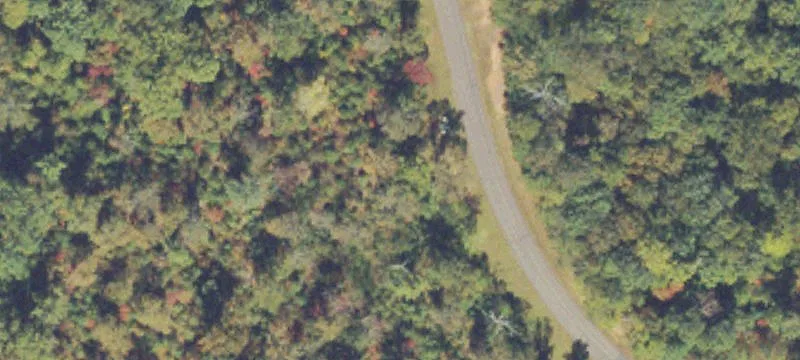 Mcguire Rd