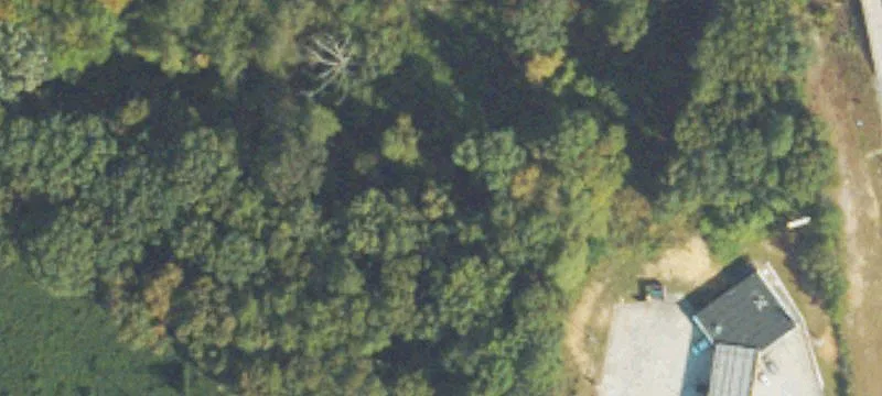 Battlefield Pkwy