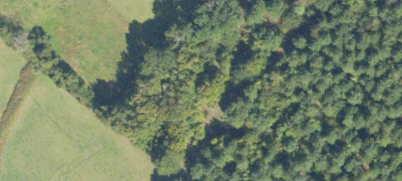 Woodland Rd