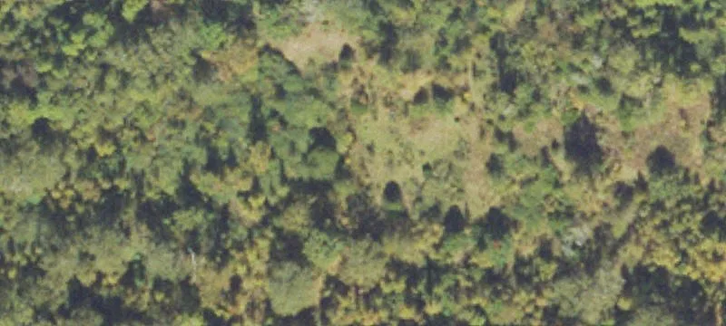 Walker Pkwy