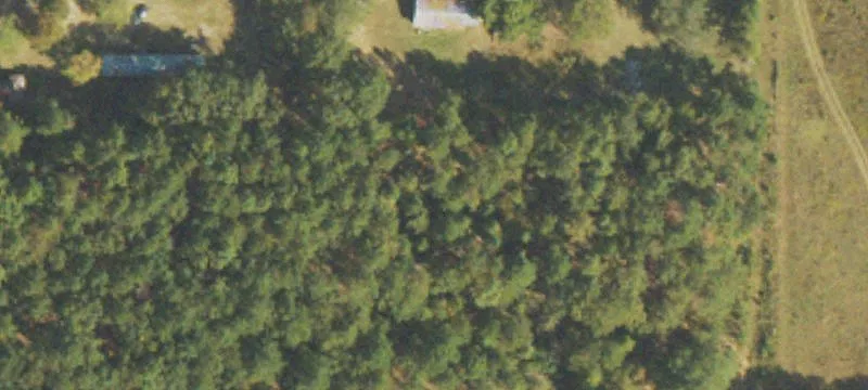 Phillips Rd