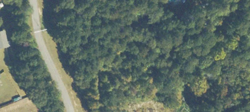 4888 Hwy 81