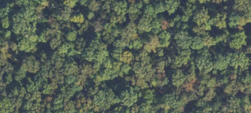 Woods Rd