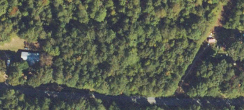 Puckett Rd