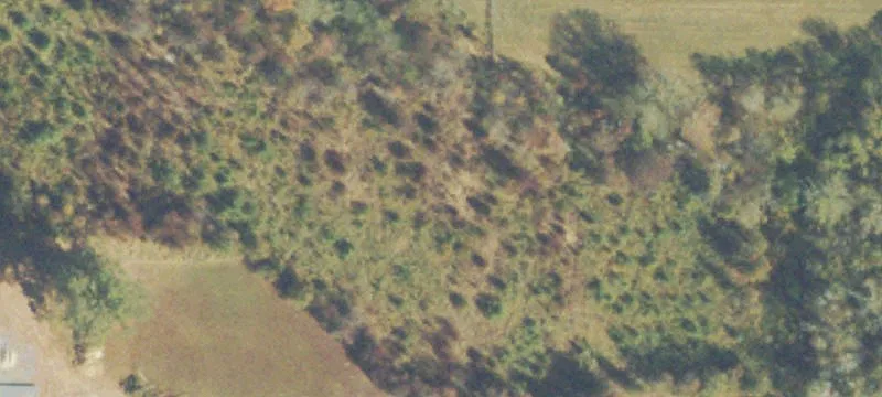 Mack Smith Rd