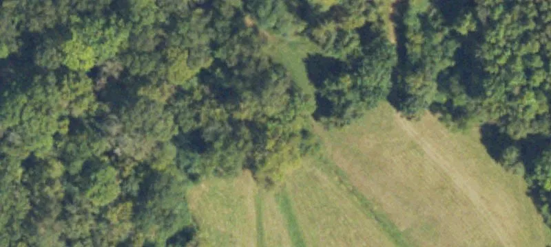 Greene Ave