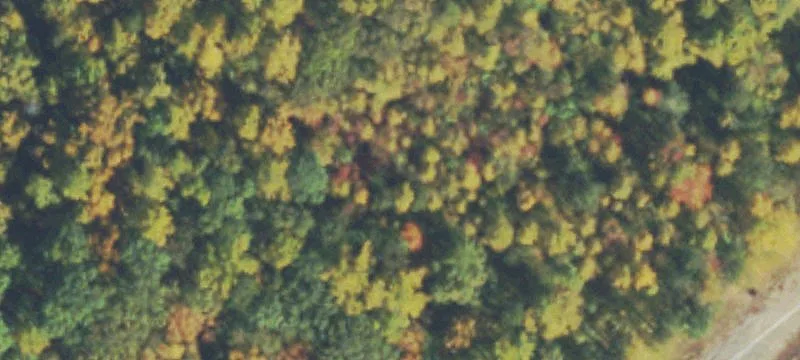 Dawsonville, GA 30534