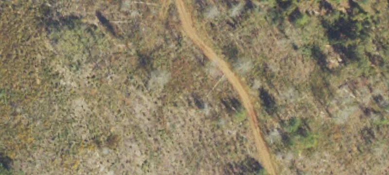 Dripping Rock Rd