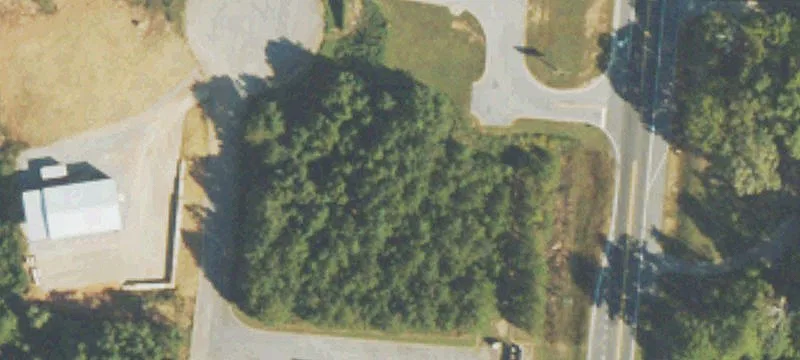 Mcadams Ln