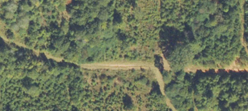 Us Hwy 19