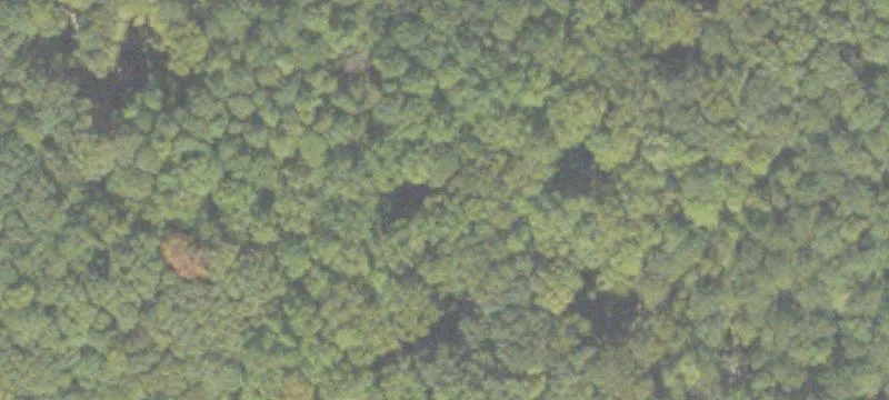 Mcdonough, GA 30253