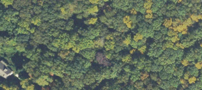 Deer Run Rd