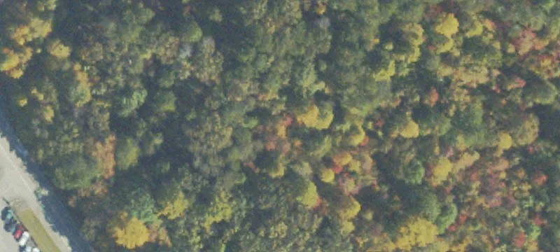 Lumpkin County Pkwy, GA