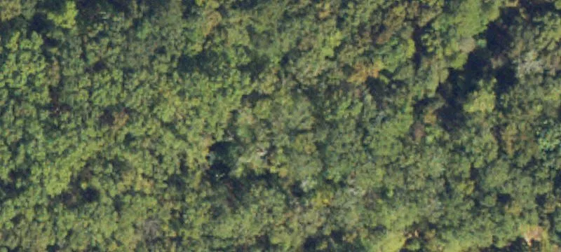 Flint Rock Rd