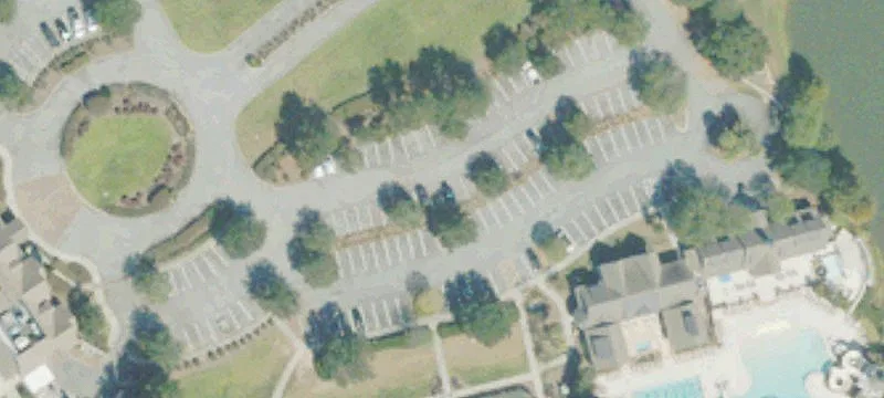 Palladin Way