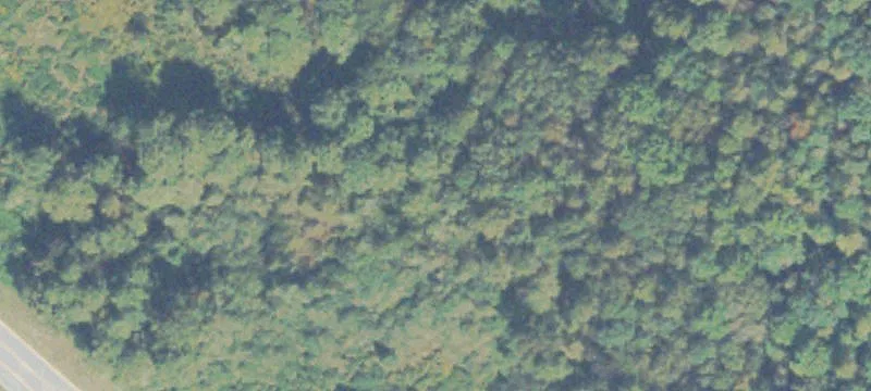 Hog Mtn Rd