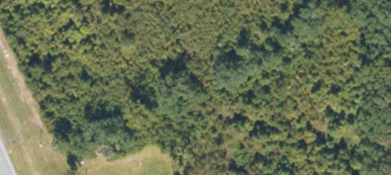 Attapulgus, GA 39815