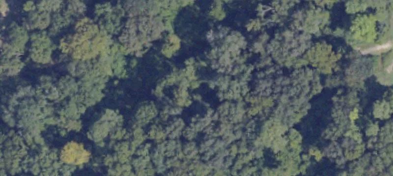 Montezuma, GA 31063