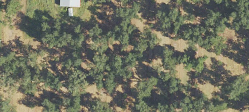 41 Ga