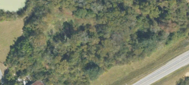 1190 Ga Hwy 91st S