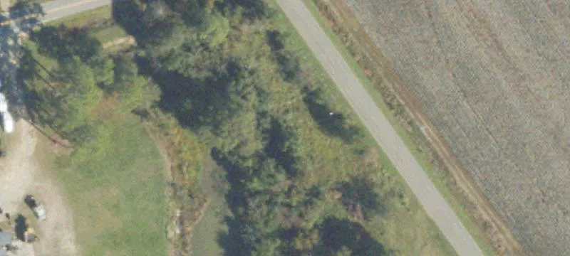 Excelsior Rd