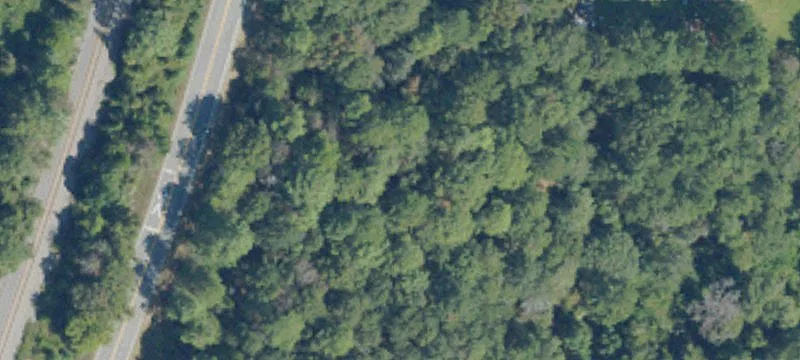 Hwy 41