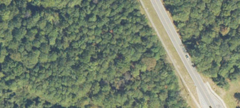 Maddox Rd