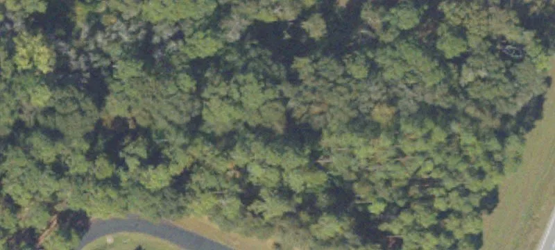 Veterans Pkwy