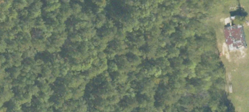 Bainbridge, GA 39817