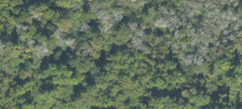 Pelham, GA 31779