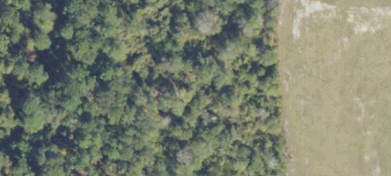 Nashville, GA 31639