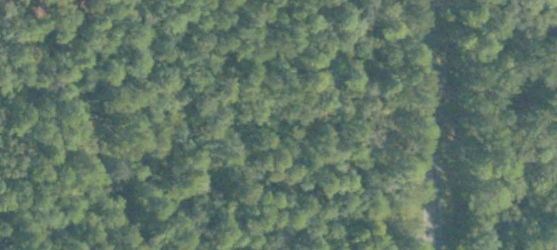 Charles Rogers Blvd
