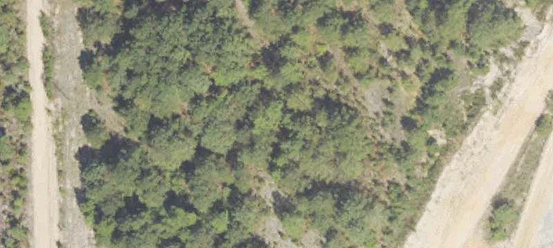 Mauk, GA 31058