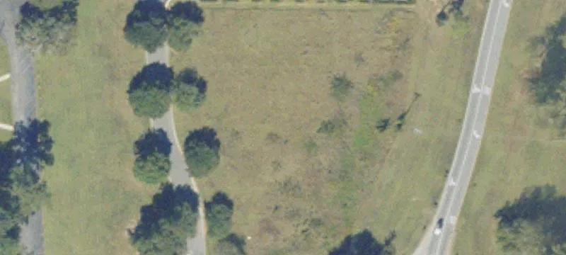 13557 Us Hwy 19th S