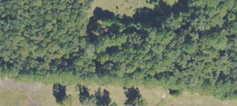 Oglethorpe Hwy